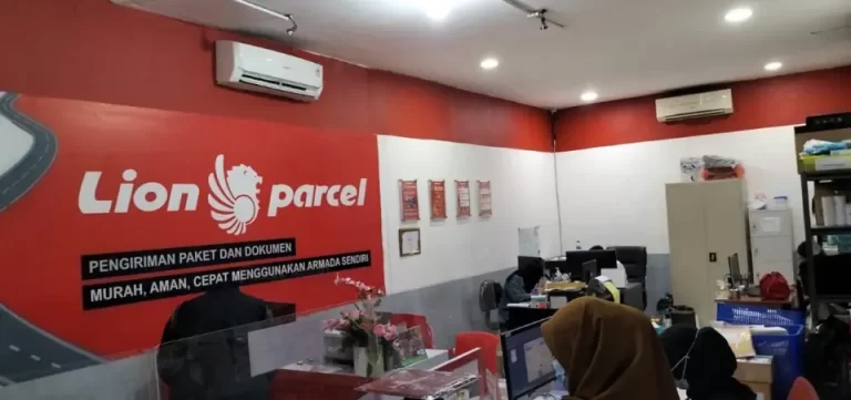 lion parcel outlet